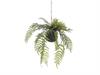 PENDENTE KOKEDAMA FELCE CM50 VERDE
