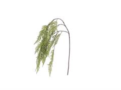 RAMO FELCE MAXI CM 150 VERDE