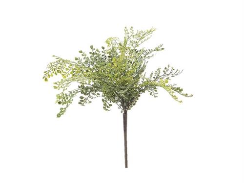 BUSH CAPELVENERE CM45 VERDE