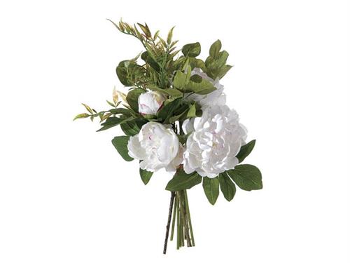 BUNDLE PEONIE X5 CM50 BIANCO