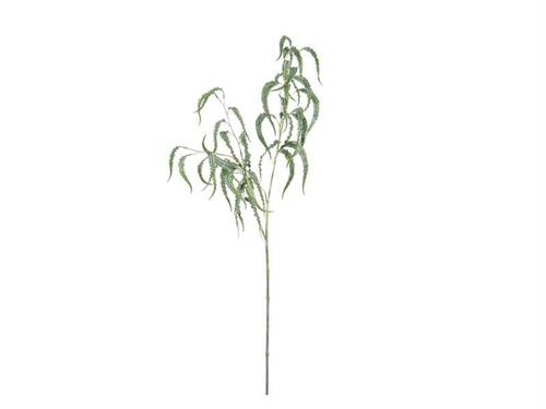 RAMO EUCALIPTUS GLOBULUS CM110 VERDE