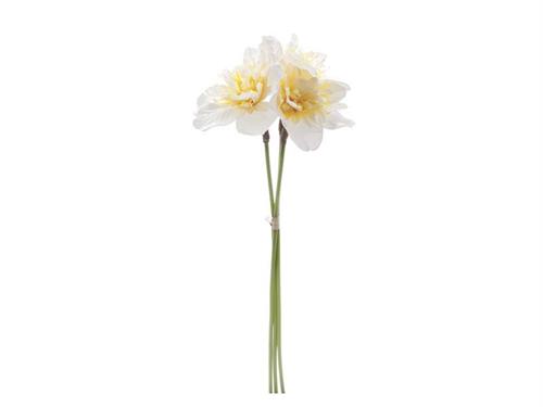 NARCISO X3 CM37 BIANCO