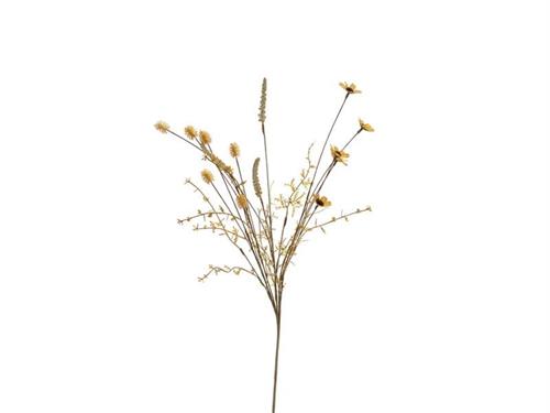 BUSH FIORI DI CAMPO DRIED CM58 GIALLO