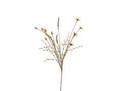 BUSH FIORI DI CAMPO DRIED CM58 GIALLO