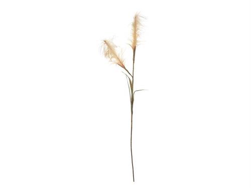 PAMPAS ARTIFICIALE X2 CM110 CREMA