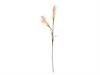 PAMPAS ARTIFICIALE X2 CM110 CREMA