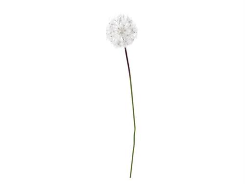 DANDELION CM65 BIANCO