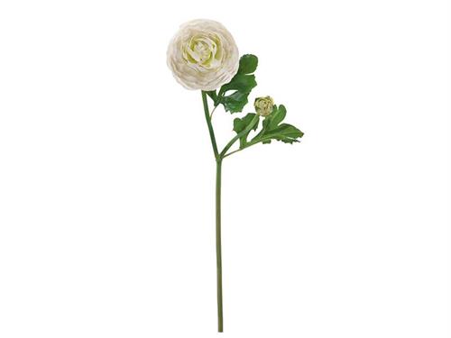 RANUNCOLO REAL TOUCH KATY X2 CM51 BIANCO