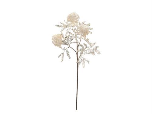 RAMO ACACIA CM70 CREMA