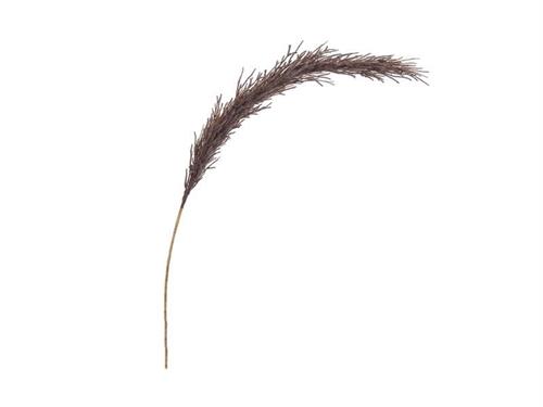 PAMPAS ARTIFICIALE SHADE CM102 CAFFE'