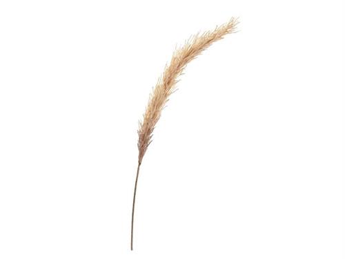 PAMPAS ARTIFICIALE SHADE CM102 SALMONE