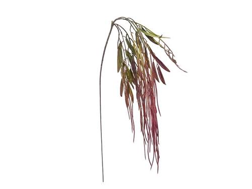 CADENTE OLEACEO CM105 VERDE/PURPLE