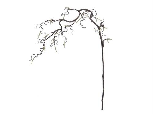 RAMO NOCCIOLO C/GERMOGLI CM120 NATURAL