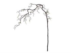 RAMO NOCCIOLO C/GERMOGLI CM120 NATURAL