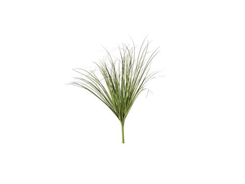 BUSH GRASS CM61 VERDE