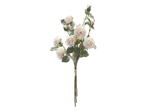 BUNDLE X3 ROSE CAROLINE DRIED CM70 BIANCO