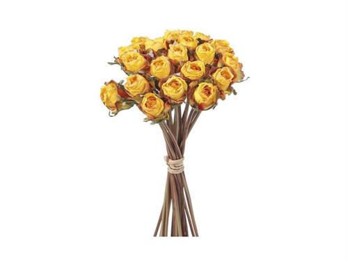 BUNDLE ROSELLINE FINTO SECCO X20 CM30 GIALLO