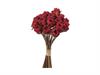 BUNDLE ROSELLINE FINTO SECCO X20 CM30 ROSSO