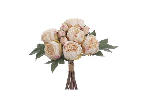BUNDLE PEONIE FINTO SECCO X10 CM33 CREMA
