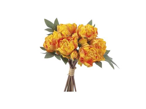 BUNDLE PEONIE FINTO SECCO X10 CM33 GIALLO