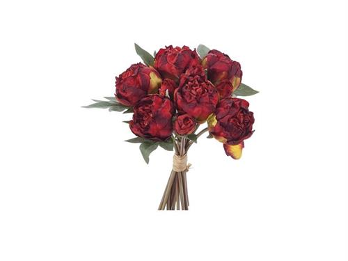 BUNDLE PEONIE FINTO SECCO X10 CM33 ROSSO