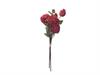 BUNDLE PEONIE FINTO SECCO CM72 ROSSO