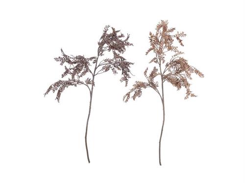 RAMO VERDE COATED CM95 ASS VERDE/PURPLE