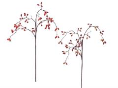 RAMO BACCHE CM96 ASS ROSSO/PURPLE