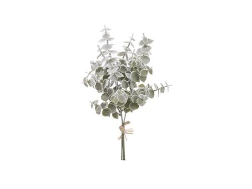 BUNDLE EUCALIPTUS INNEVATO X3 CM35 VERDE