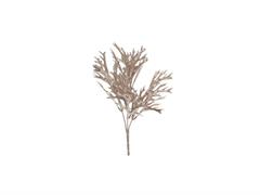 BUSH PLATYCERIUM X5 CM35 ORO ROSA