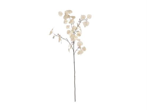 RAMO EUCALIPTUS AUTUMN X5 CM109 CREMA