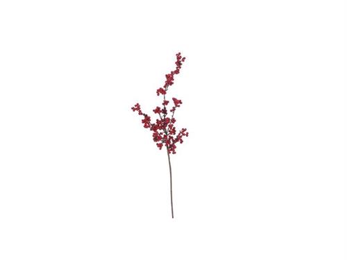 RAMO BACCHE ILEX CM75 ROSSO