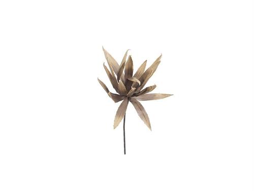 PIANTA AGAVE BIG FOAM SATIN CM65 MARRONE
