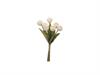 BUNDLE TULIPANI NANCY X7 CM44 BIANCO