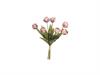 BUNDLE TULIPANI NANCY X7 CM44 ROSA