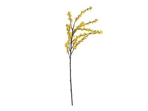 FORSYTHIA CM110 GIALLO
