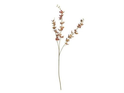 RAMO ORCHIDEA VIROTII CM90 ARANCIO-VERDE