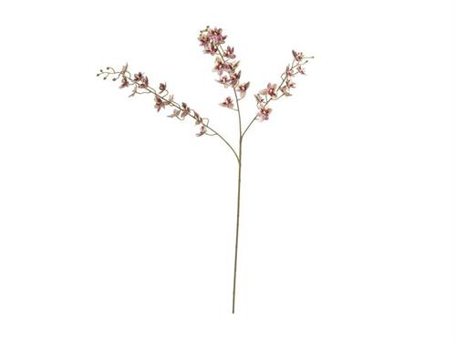 RAMO ORCHIDEA VIROTII CM90 FUXIA-VERDE