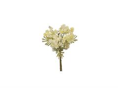 BUNDLE ACACIA CM34 BIANCO