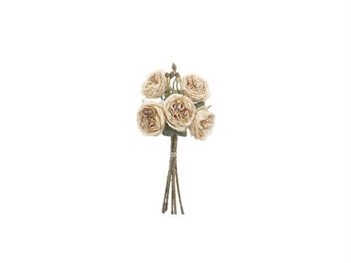 BUNDLE ROSE X5 FINTO SECCO CM45 CREMA