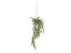PENDENTE KOKEDAMA CAPELVENERE CM143 VERDE