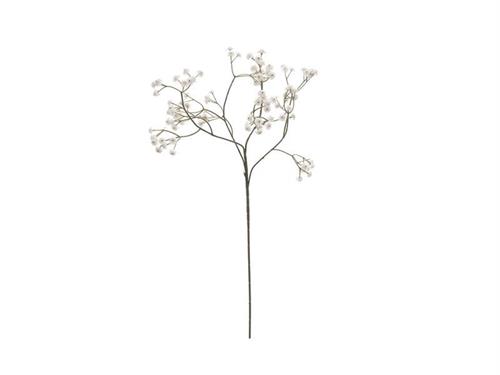GYPSOPHILA CM60 BIANCO