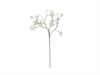 GYPSOPHILA CM60 BIANCO