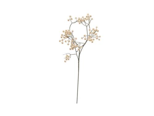GYPSOPHILA CM60 CREMA