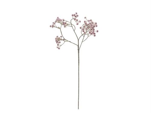 GYPSOPHILA CM60 LILLA