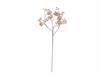 GYPSOPHILA CM60 ROSA