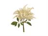 BUNDLE ASTILBE X5 CM42 BIANCO