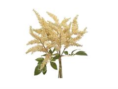 BUNDLE ASTILBE X5 CM42 SALMONE