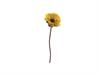 PAPAVERO POPPY CM53 GIALLO