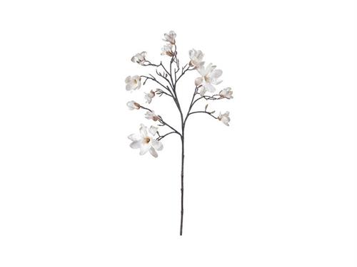 TRALCIO MAGNOLIA GOLDEN X12 CM115 BIANCO/ORO